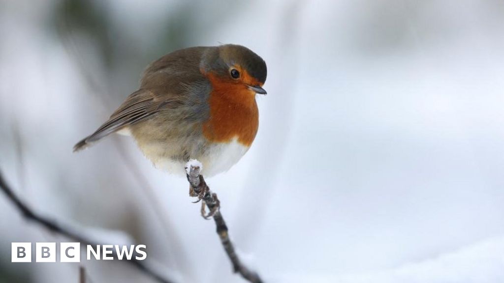 UK Weather: Snow and ice warnings extended to more parts of UK