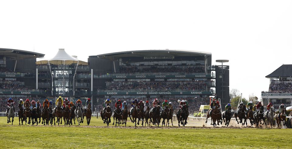 Horse racing-BHA analysing horse deaths at Grand National, condemns protesters