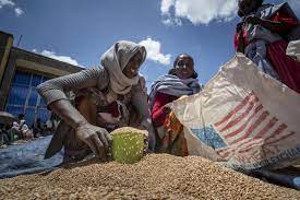 US joins UN in suspending food aid to Ethiopia’s Tigray