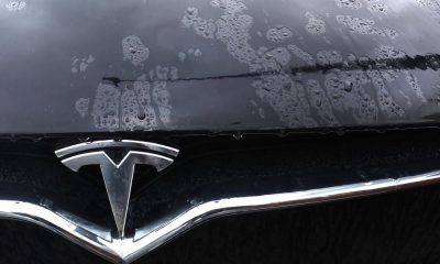 The logo of a Tesla electric vehicle is placed on a car seen outside a dealership in Drogenbos, Belgium November 25, 2023. REUTERS/Yves Herman/File Photo
