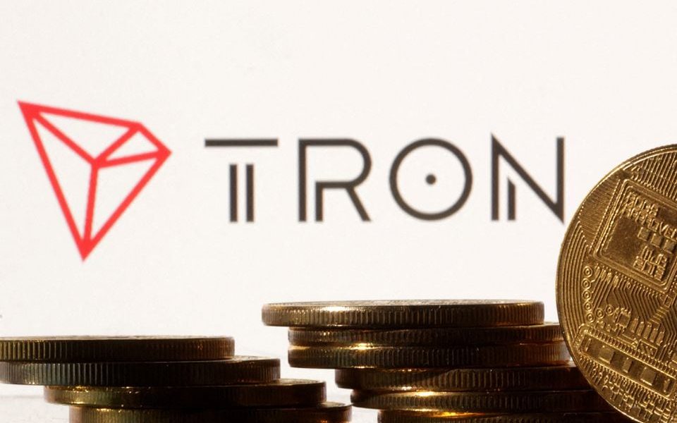 Representations of cryptocurrencies are seen in front of displayed Tron logo in this illustration taken November 10, 2022. REUTERS/Dado Ruvic/Illustration/File Photo