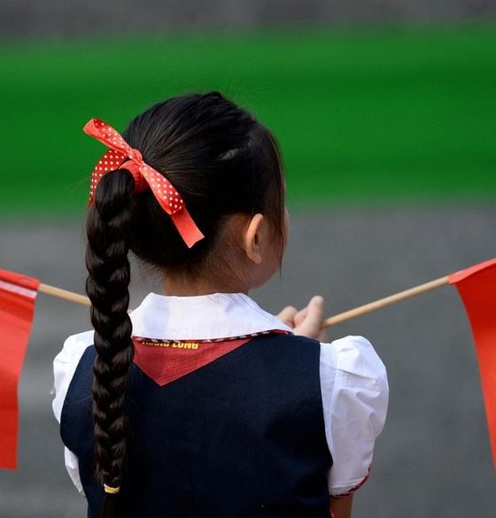 A Vietnamese pupil holds Vietnamese and Chinese flags before the welcoming ceremony at the Presidential Palace in Hanoi, Vietnam November 12, 2017. REUTERS/Hoang Dinh Nam/Pool/File Photo